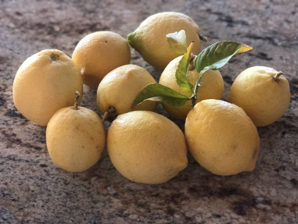 Pile of lemons that I need to use!