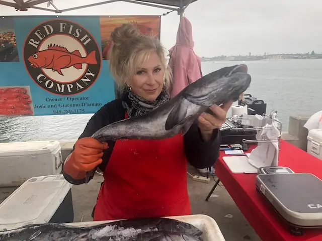 Whole, fresh Sablefish often called black cod