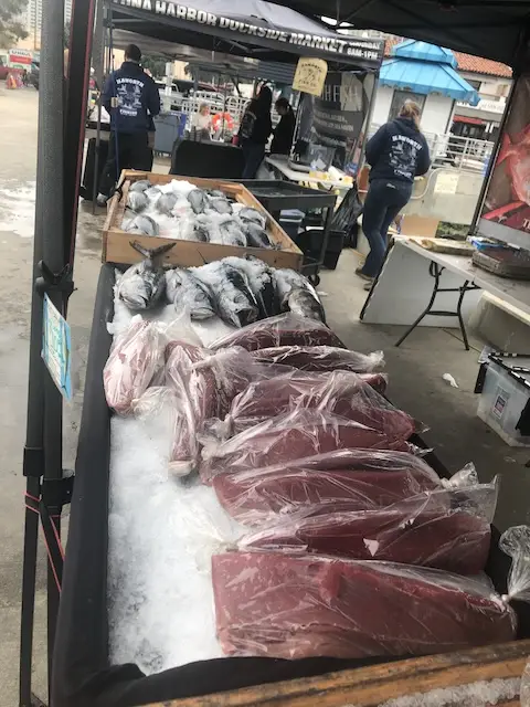 Raw Fish at Fish Market