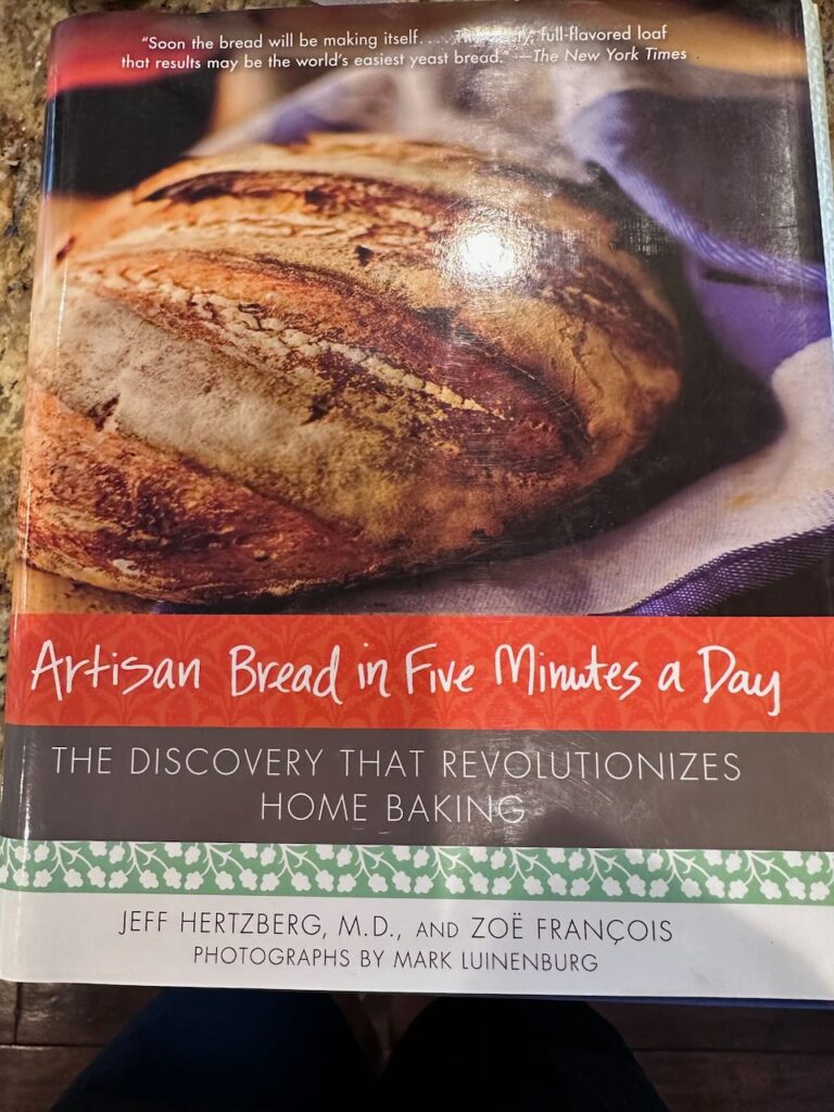 The book - Artisan Bread in 5 minutes a day by Jeff Hertzberg - source of my homemade baguettes