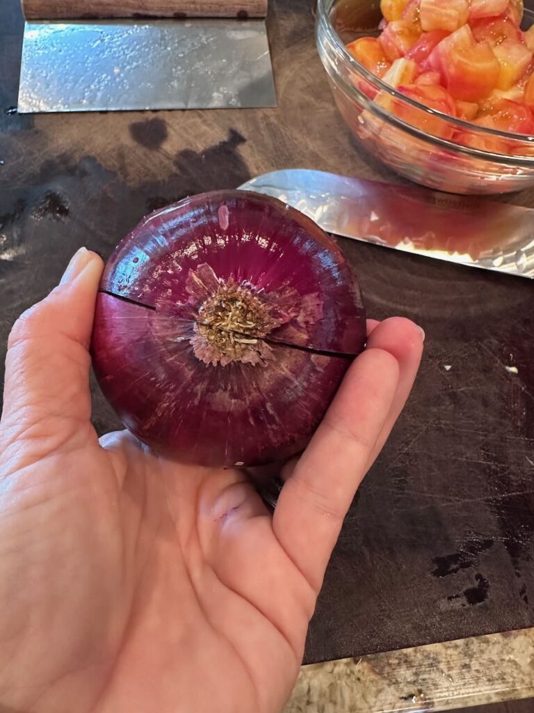 Showing a red onion sliced in half through the root end