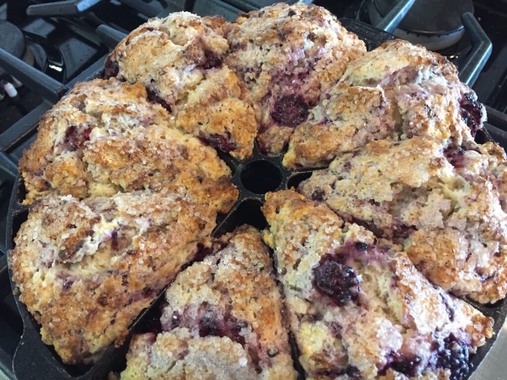 Blueberry Scones, Blueberry Lemon Scones and Uknown variety scones :)