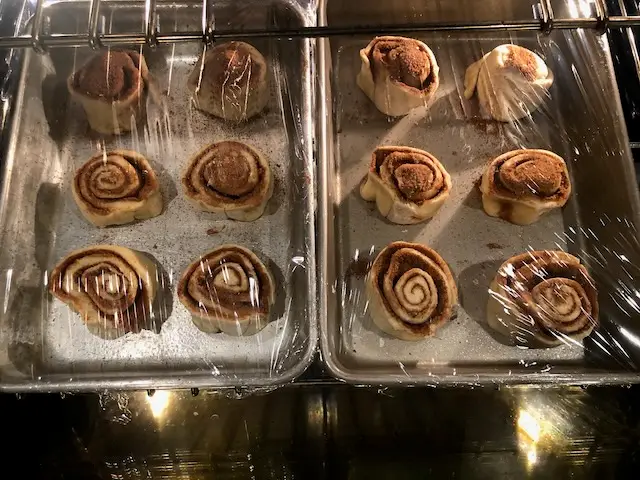 Newly cut cinnamon rolls - before rise time