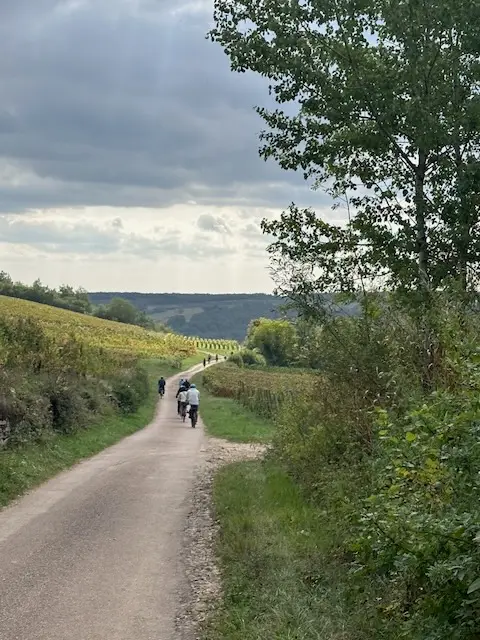 A picture of the countryside in Burgundy with a group of our bike riders ahead.